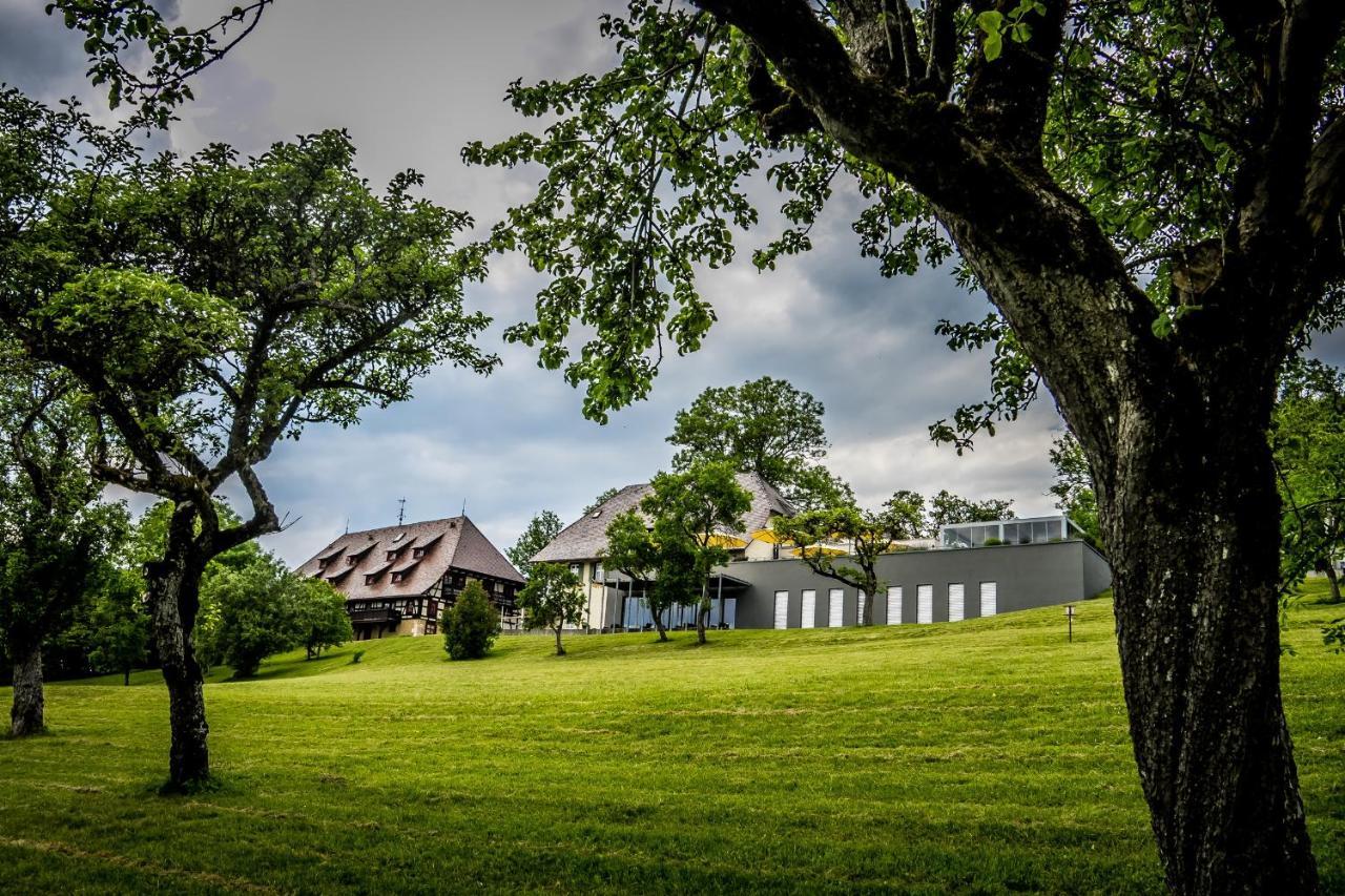 Hotel Hofgut Hohenkarpfen Hausen ob Verena Dış mekan fotoğraf