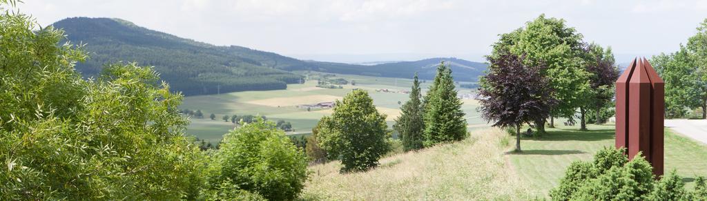 Hotel Hofgut Hohenkarpfen Hausen ob Verena Dış mekan fotoğraf