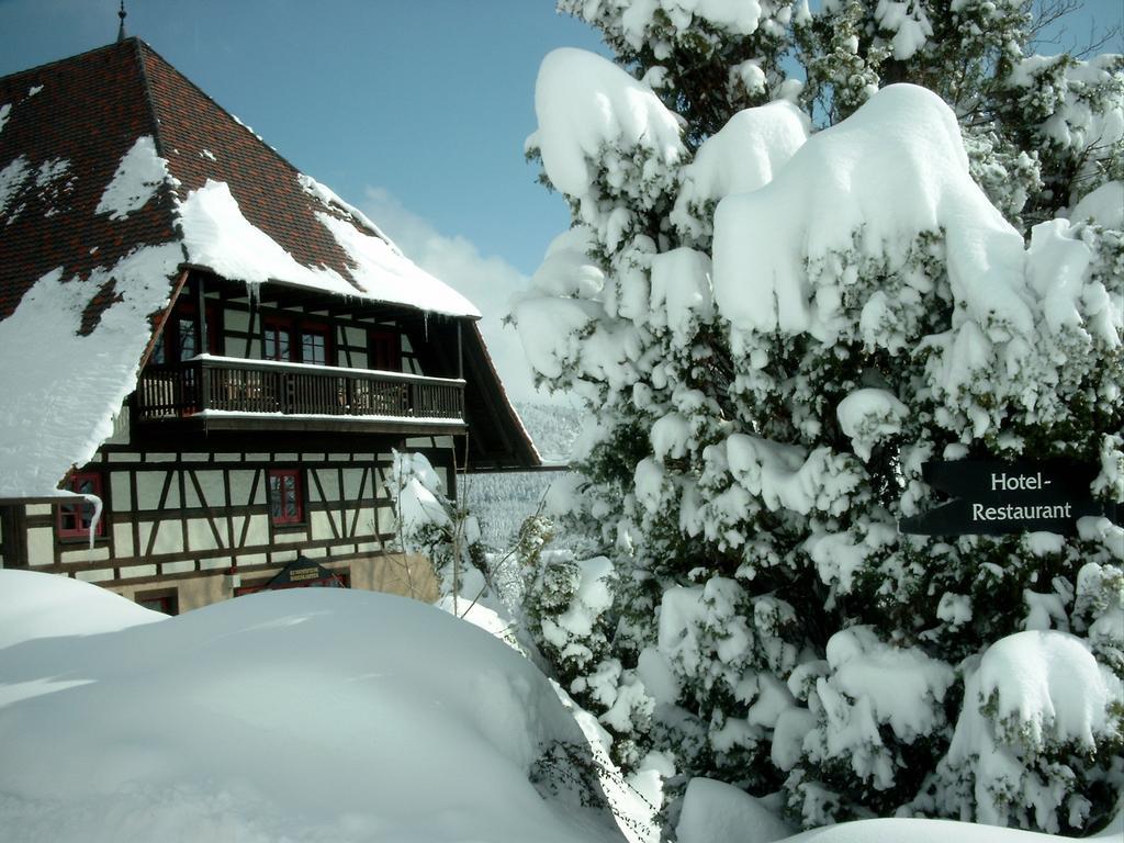 Hotel Hofgut Hohenkarpfen Hausen ob Verena Dış mekan fotoğraf